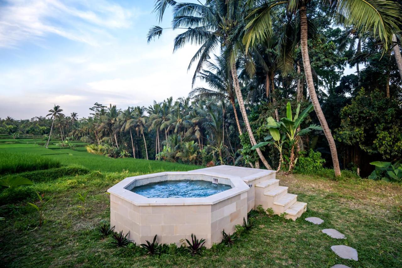 Villa Paradise By Balisuperhost Ubud Eksteriør billede
